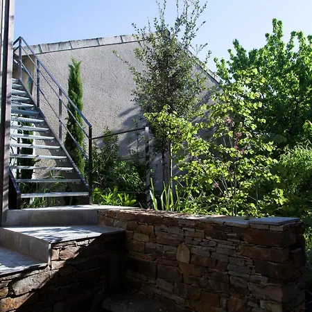 Maison Coloree Dans Un Jardin